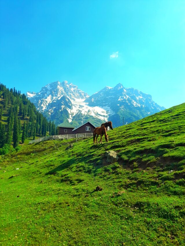 Top tourist places in Kashmir